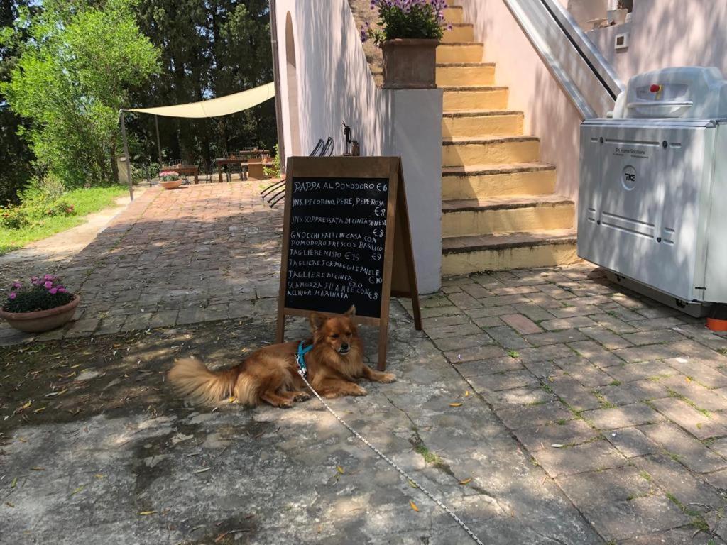 Tenuta Di Ghizzano Resort Kültér fotó